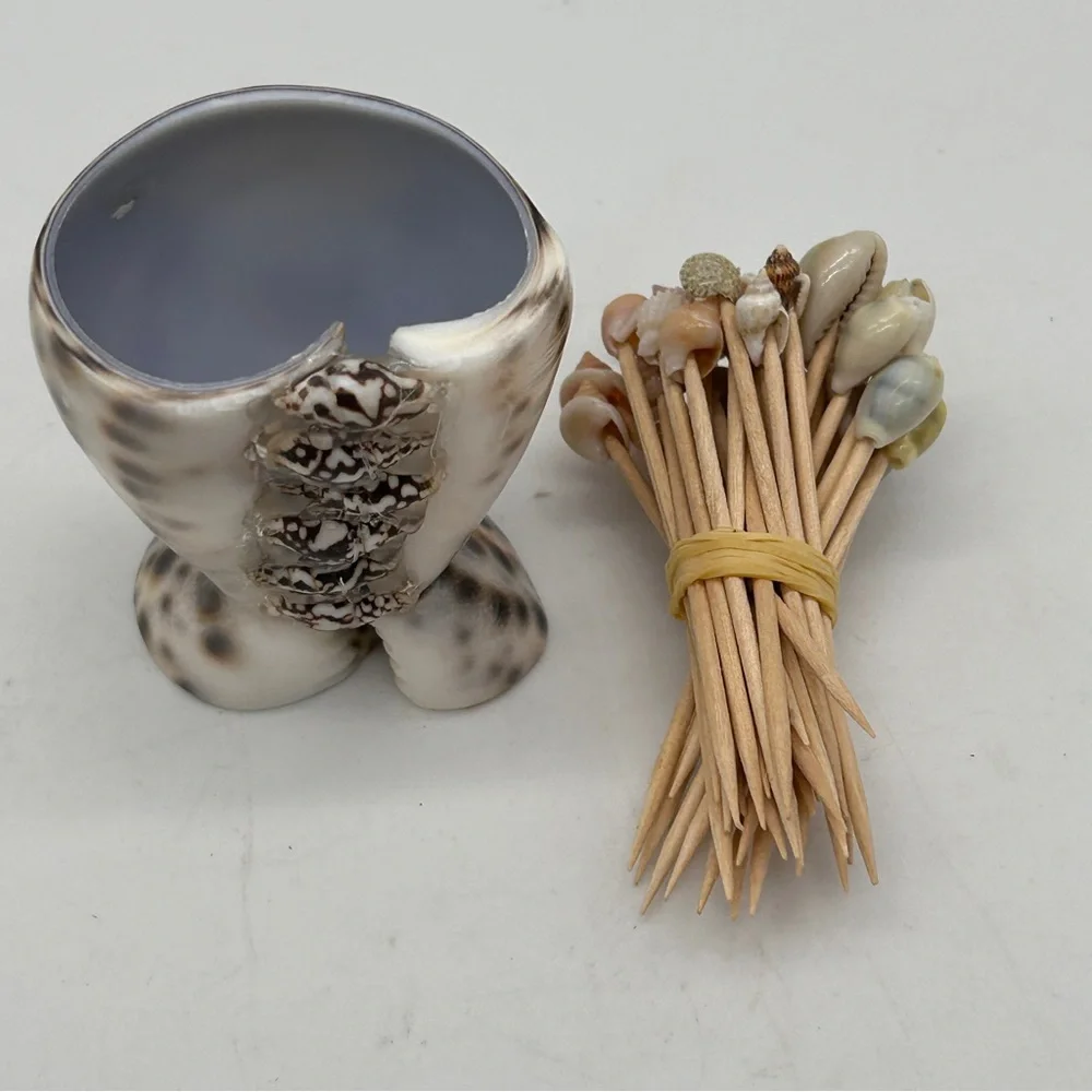 Seashell Toothpick Holder Cocktail Picks NEW